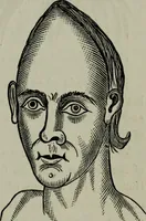 An illustration from Nature's revelations of character, or, Physiognomy illustrated : a description of the mental, moral and volitive dispositions of mankind, as manifested in the human form and countenance (1887)