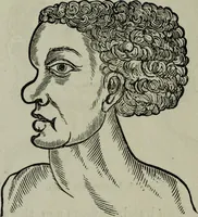 An illustration from Nature's revelations of character, or, Physiognomy illustrated : a description of the mental, moral and volitive dispositions of mankind, as manifested in the human form and countenance (1887)