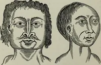 An illustration from Nature's revelations of character, or, Physiognomy illustrated : a description of the mental, moral and volitive dispositions of mankind, as manifested in the human form and countenance (1887)