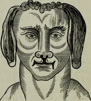 An illustration from Nature's revelations of character, or, Physiognomy illustrated : a description of the mental, moral and volitive dispositions of mankind, as manifested in the human form and countenance (1887)