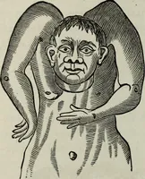 An illustration from Nature's revelations of character, or, Physiognomy illustrated : a description of the mental, moral and volitive dispositions of mankind, as manifested in the human form and countenance (1887)