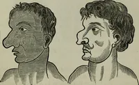 An illustration from Nature's revelations of character, or, Physiognomy illustrated : a description of the mental, moral and volitive dispositions of mankind, as manifested in the human form and countenance (1887)