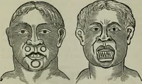 An illustration from Nature's revelations of character, or, Physiognomy illustrated : a description of the mental, moral and volitive dispositions of mankind, as manifested in the human form and countenance (1887)