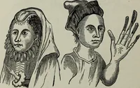 Picture 233 of 250 from Nature's revelations of character, or, Physiognomy illustrated : a description of the mental, moral and volitive dispositions of mankind, as manifested in the human form and countenance (1887), leaf 547