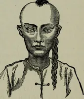 Picture 237 of 250 from Nature's revelations of character, or, Physiognomy illustrated : a description of the mental, moral and volitive dispositions of mankind, as manifested in the human form and countenance (1887), leaf 552