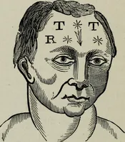 An illustration from Nature's revelations of character, or, Physiognomy illustrated : a description of the mental, moral and volitive dispositions of mankind, as manifested in the human form and countenance (1887)