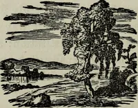 Picture 248 of 250 from Nature's revelations of character, or, Physiognomy illustrated : a description of the mental, moral and volitive dispositions of mankind, as manifested in the human form and countenance (1887), leaf 585