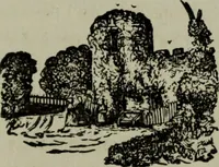 Picture 249 of 250 from Nature's revelations of character, or, Physiognomy illustrated : a description of the mental, moral and volitive dispositions of mankind, as manifested in the human form and countenance (1887), leaf 600