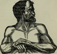 An illustration from Nature's revelations of character, or, Physiognomy illustrated : a description of the mental, moral and volitive dispositions of mankind, as manifested in the human form and countenance (1887)