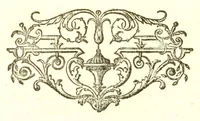 An illustration from Natuurkundige beschryving eener uitmuntende verzameling van zeldsaame gedierten : bestaande in Oost- en Westindische viervoetige dieren, vogelen en slangen : weleer leevend voorhanden geweest zynde, buiten den Haag, op het Kleine Loo van Z.D.H. den Prins van Oranje-Nassau (1804)