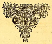 An illustration from Natuurlyke en zedelyke historie van d'eylanden de Voor-Eylanden van Amerika. : Verrijkt met vele schoone platen, die uytheelden d'aller-aanmerkelijkste seldsaamheden die'er in beschreven zijn. : Met eenen Caraïbaanschen Woorden-schat. (1662)