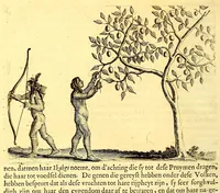 Picture 7 of 40 from Natuurlyke en zedelyke historie van d'eylanden de Voor-Eylanden van Amerika. : Verrijkt met vele schoone platen, die uytheelden d'aller-aanmerkelijkste seldsaamheden die'er in beschreven zijn. : Met eenen Caraïbaanschen Woorden-schat. (1662), leaf 96