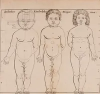 An illustration from Natuurlyk en schilderkonstig ontwerp der menschkunde : leerende niet alleen de kennis van de gestalte, proportie, schoonheyd, muskelen, bewegingen, actien, passien, en welstand der menschbeelden : tot de teykenkunde, schilderkunde, beeldhouwery, bootseer en giet-oeffening toepassen : maar ook hoe sich een mensch na deselve regelen, in allerhande doeningh van gaan, staan, loopen, torssen, dragen, arbeyden, spreken en andere gebeerden : bevallig en verstandilijk aastellen zal (1683)