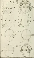 An illustration from Natuurlyk en schilderkonstig ontwerp der menschkunde : leerende niet alleen de kennis van de gestalte, proportie, schoonheyd, muskelen, bewegingen, actien, passien, en welstand der menschbeelden : tot de teykenkunde, schilderkunde, beeldhouwery, bootseer en giet-oeffening toepassen : maar ook hoe sich een mensch na deselve regelen, in allerhande doeningh van gaan, staan, loopen, torssen, dragen, arbeyden, spreken en andere gebeerden : bevallig en verstandilijk aastellen zal (1683)