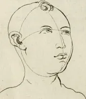 An illustration from Natuurlyk en schilderkonstig ontwerp der menschkunde : leerende niet alleen de kennis van de gestalte, proportie, schoonheyd, muskelen, bewegingen, actien, passien, en welstand der menschbeelden : tot de teykenkunde, schilderkunde, beeldhouwery, bootseer en giet-oeffening toepassen : maar ook hoe sich een mensch na deselve regelen, in allerhande doeningh van gaan, staan, loopen, torssen, dragen, arbeyden, spreken en andere gebeerden : bevallig en verstandilijk aastellen zal (1683)