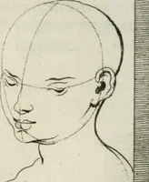 An illustration from Natuurlyk en schilderkonstig ontwerp der menschkunde : leerende niet alleen de kennis van de gestalte, proportie, schoonheyd, muskelen, bewegingen, actien, passien, en welstand der menschbeelden : tot de teykenkunde, schilderkunde, beeldhouwery, bootseer en giet-oeffening toepassen : maar ook hoe sich een mensch na deselve regelen, in allerhande doeningh van gaan, staan, loopen, torssen, dragen, arbeyden, spreken en andere gebeerden : bevallig en verstandilijk aastellen zal (1683)