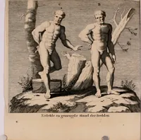 An illustration from Natuurlyk en schilderkonstig ontwerp der menschkunde : leerende niet alleen de kennis van de gestalte, proportie, schoonheyd, muskelen, bewegingen, actien, passien, en welstand der menschbeelden : tot de teykenkunde, schilderkunde, beeldhouwery, bootseer en giet-oeffening toepassen : maar ook hoe sich een mensch na deselve regelen, in allerhande doeningh van gaan, staan, loopen, torssen, dragen, arbeyden, spreken en andere gebeerden : bevallig en verstandilijk aastellen zal (1683)