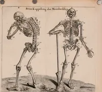An illustration from Natuurlyk en schilderkonstig ontwerp der menschkunde : leerende niet alleen de kennis van de gestalte, proportie, schoonheyd, muskelen, bewegingen, actien, passien, en welstand der menschbeelden : tot de teykenkunde, schilderkunde, beeldhouwery, bootseer en giet-oeffening toepassen : maar ook hoe sich een mensch na deselve regelen, in allerhande doeningh van gaan, staan, loopen, torssen, dragen, arbeyden, spreken en andere gebeerden : bevallig en verstandilijk aastellen zal (1683)