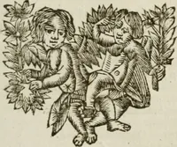 An illustration from Natuurlyk en schilderkonstig ontwerp der menschkunde : leerende niet alleen de kennis van de gestalte, proportie, schoonheyd, muskelen, bewegingen, actien, passien, en welstand der menschbeelden : tot de teykenkunde, schilderkunde, beeldhouwery, bootseer en giet-oeffening toepassen : maar ook hoe sich een mensch na deselve regelen, in allerhande doeningh van gaan, staan, loopen, torssen, dragen, arbeyden, spreken en andere gebeerden : bevallig en verstandilijk aastellen zal (1683)