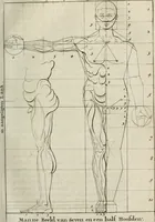 An illustration from Natuurlyk en schilderkonstig ontwerp der menschkunde : leerende niet alleen de kennis van de gestalte, proportie, schoonheyd, muskelen, bewegingen, actien, passien, en welstand der menschbeelden : tot de teykenkunde, schilderkunde, beeldhouwery, bootseer en giet-oeffening toepassen : maar ook hoe sich een mensch na deselve regelen, in allerhande doeningh van gaan, staan, loopen, torssen, dragen, arbeyden, spreken en andere gebeerden : bevallig en verstandilijk aastellen zal (1683)