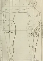 An illustration from Natuurlyk en schilderkonstig ontwerp der menschkunde : leerende niet alleen de kennis van de gestalte, proportie, schoonheyd, muskelen, bewegingen, actien, passien, en welstand der menschbeelden : tot de teykenkunde, schilderkunde, beeldhouwery, bootseer en giet-oeffening toepassen : maar ook hoe sich een mensch na deselve regelen, in allerhande doeningh van gaan, staan, loopen, torssen, dragen, arbeyden, spreken en andere gebeerden : bevallig en verstandilijk aastellen zal (1683)