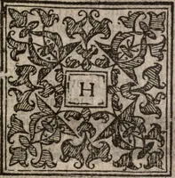 An illustration from The natvrall and morall historie of the East and West Indies (1604)