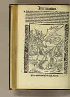 An illustration from Nauicula siue speculu[m] fatuor[um] ... Joannis Geyler Keysersbergii ... in sermones iuxta turmarum seriem diuisa ... a Jacobo Othero diligenter collecta. Compendiosa vite eiusdem descriptio, per Beatum Rhenanum Selestatinum. . (1511)