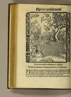 An illustration from Nauicula siue speculu[m] fatuor[um] ... Joannis Geyler Keysersbergii ... in sermones iuxta turmarum seriem diuisa ... a Jacobo Othero diligenter collecta. Compendiosa vite eiusdem descriptio, per Beatum Rhenanum Selestatinum. . (1511)