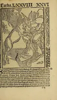 An illustration from Nauicula siue speculu[m] fatuor[um] ... Joannis Geyler Keysersbergii ... in sermones iuxta turmarum seriem diuisa ... a Jacobo Othero diligenter collecta. Compendiosa vite eiusdem descriptio, per Beatum Rhenanum Selestatinum. . (1511)