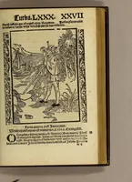 An illustration from Nauicula siue speculu[m] fatuor[um] ... Joannis Geyler Keysersbergii ... in sermones iuxta turmarum seriem diuisa ... a Jacobo Othero diligenter collecta. Compendiosa vite eiusdem descriptio, per Beatum Rhenanum Selestatinum. . (1511)