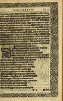 An illustration from Nauis stultorum: oft, Der sotten schip : ... Seer bequaem om te leeren het quaet van tgoet t'onderscheyden, om de sonde te schou wen en[de] deuchdelijck te leuen. (1584)