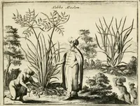 Picture 25 of 50 from Naukeurige beschryving van Asie; behelsende de gewesten van Mesopotamie, Babylonie, Assyrie, Anatolie, of Klein Asie, beneffens eene volkome beschrijving van gansch Gelukkigh, Woest, en Petreesch of Steenigh Arabie.. (1680), leaf 290