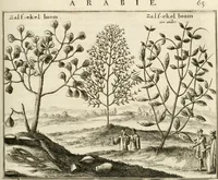 Picture 42 of 50 from Naukeurige beschryving van Asie; behelsende de gewesten van Mesopotamie, Babylonie, Assyrie, Anatolie, of Klein Asie, beneffens eene volkome beschrijving van gansch Gelukkigh, Woest, en Petreesch of Steenigh Arabie.. (1680), leaf 466