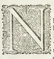 An illustration from Naukeurige beschryving van Morea, eertijts Peloponnesus; en de eilanden, gelegen onder de kusten van Morea, en binnen en buiten de golf van Venetien: waer onder de voornaemste Korfu, Cefalonia, Sant Maura, Zanten, en andere in grooten getale. Behelzende derzelver landschappen, steden, rivieren, poelen, bergen, gewassen, dieren, &c. Met de kaerten van Morea, golf van Venetien, en verscheide eilanden: beneffens afbeeldingen van steden en kastelen, als Patrasso, Modon, Koron, Navarino, Napoli di Romania en Malvasia, Korinthen, Misitra, &c (1688)