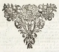 An illustration from Naukeurige beschryving van Morea, eertijts Peloponnesus; en de eilanden, gelegen onder de kusten van Morea, en binnen en buiten de golf van Venetien: waer onder de voornaemste Korfu, Cefalonia, Sant Maura, Zanten, en andere in grooten getale. Behelzende derzelver landschappen, steden, rivieren, poelen, bergen, gewassen, dieren, &c. Met de kaerten van Morea, golf van Venetien, en verscheide eilanden: beneffens afbeeldingen van steden en kastelen, als Patrasso, Modon, Koron, Navarino, Napoli di Romania en Malvasia, Korinthen, Misitra, &c (1688)