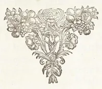 An illustration from Naukeurige beschryving van Morea, eertijts Peloponnesus; en de eilanden, gelegen onder de kusten van Morea, en binnen en buiten de golf van Venetien: waer onder de voornaemste Korfu, Cefalonia, Sant Maura, Zanten, en andere in grooten getale. Behelzende derzelver landschappen, steden, rivieren, poelen, bergen, gewassen, dieren, &c. Met de kaerten van Morea, golf van Venetien, en verscheide eilanden: beneffens afbeeldingen van steden en kastelen, als Patrasso, Modon, Koron, Navarino, Napoli di Romania en Malvasia, Korinthen, Misitra, &c (1688)