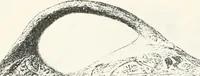 An illustration from Naukratis (1886)