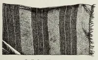 Picture 11 of 19 from Navajo weavers (1884), leaf 27