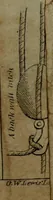 An illustration from The naval apprentics's kedge anchor, or, Young sailor's assistant ... appertaining to the practical evolutions of seamanship, rigging, knotting, splicing blocks, purchases, running rigging, and other miscellaneous matters applicable to ships of war and others ... (1841)