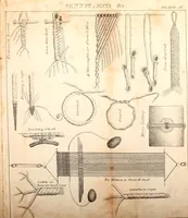 An illustration from The naval apprentics's kedge anchor, or, Young sailor's assistant ... appertaining to the practical evolutions of seamanship, rigging, knotting, splicing blocks, purchases, running rigging, and other miscellaneous matters applicable to ships of war and others ... (1841)