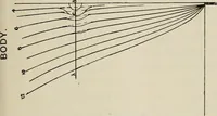An illustration from Naval architecture: a manual on laying-off iron, steel, and composite vessels (1898)