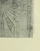 An illustration from Neben meiner Kunst : Flugstudien, Briefe und Persönliches (1909)
