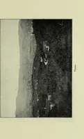 An illustration from Neben meiner Kunst : Flugstudien, Briefe und Persönliches (1909)