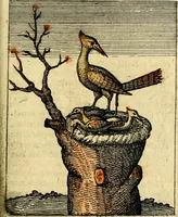 Picture 37 of 39 from Nebulo nebulonum, hoc est, Locoseria modernae nequitiae censura : qua hominum sceleratorum fraudes, doli ac versutiae aeri aëriq[ue] exponuntur pùblice (1620), leaf 164