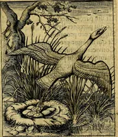 An illustration from Nebulo nebulonum; hoc est, Loco-seria vernaculae nequitiae censura (1636)