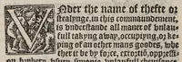 An illustration from A necessary doctrine and erudition for any Christen man (1543)