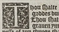 Picture 6 of 9 from A necessary doctrine and erudition for any Christen man, set furthe by the kynges maiestie of Englande &c (1543), leaf 118