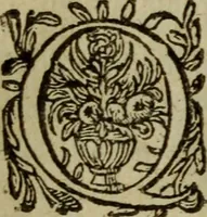 An illustration from Nederduytsche poëmata (1635)