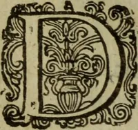 Picture 31 of 34 from Nederduytsche poëmata (1635), leaf 354