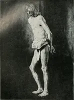 An illustration from Nederlandsche schilderkunst in beeld (1900)